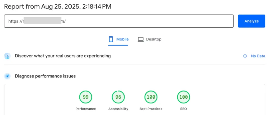google pagespeed insight sempurna