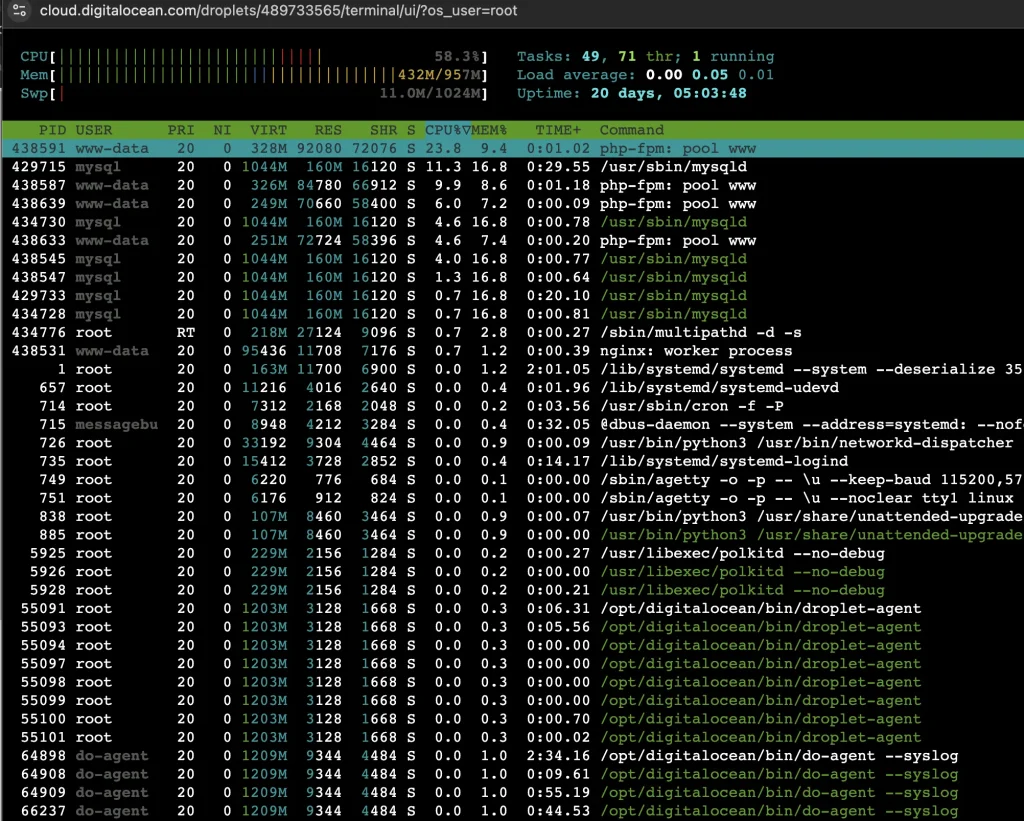 htop setelah migrasi